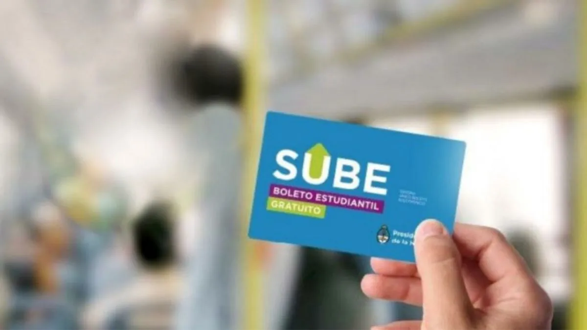 Boleto educativo: la odisea marplatense para conseguirlo