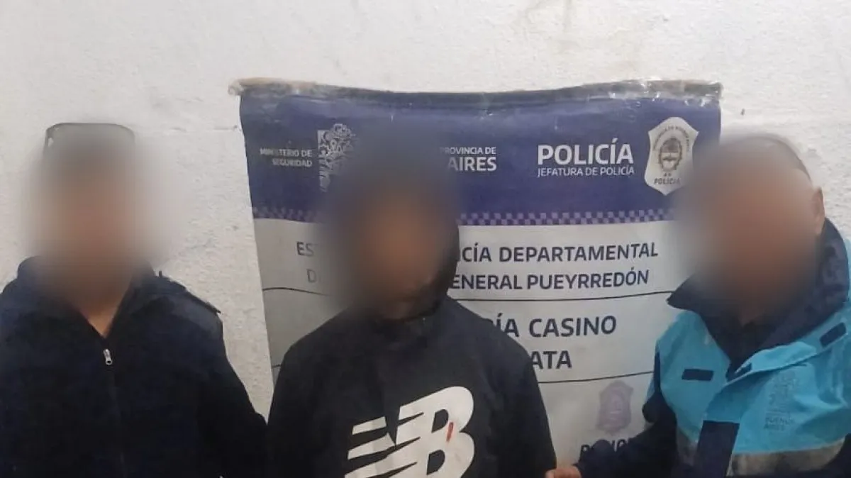 Detuvieron a un hombre por robar un celular en pleno centro de Mar del ...