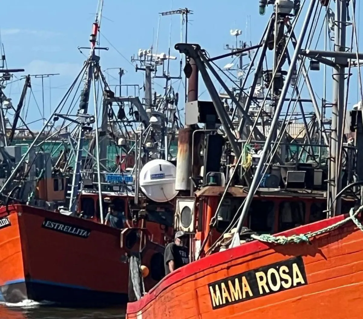 Pesca polémica en MDP: ¿Puesto de trabajo o caos?