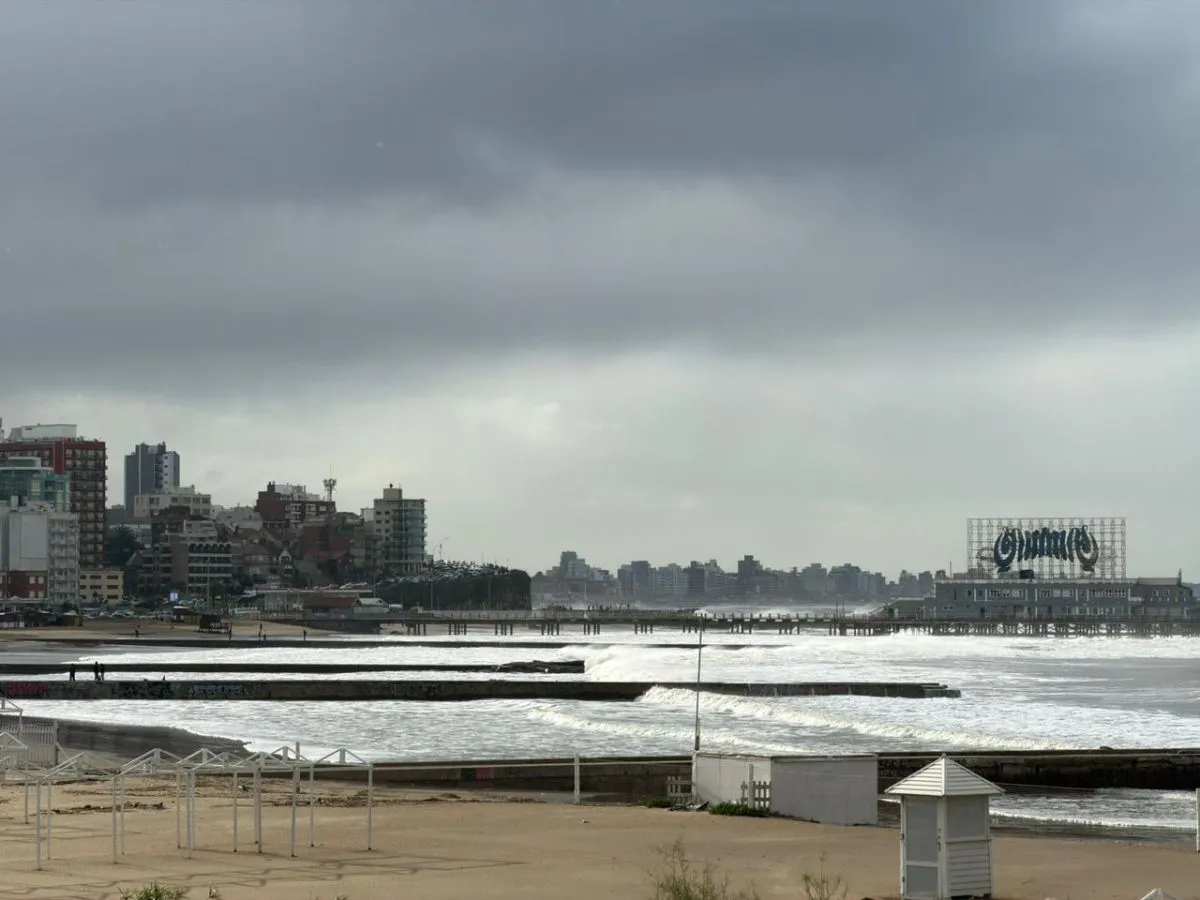 Llegan las lluvias y vos sin paraguas, ¿qué hacés?