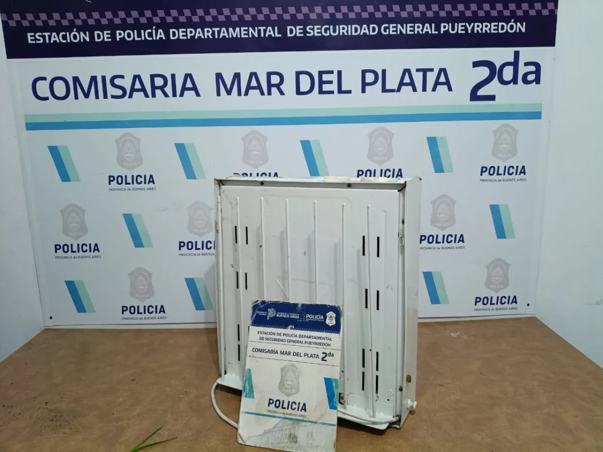 Se quisieron llevar una estufa y se quedaron con las manos frías