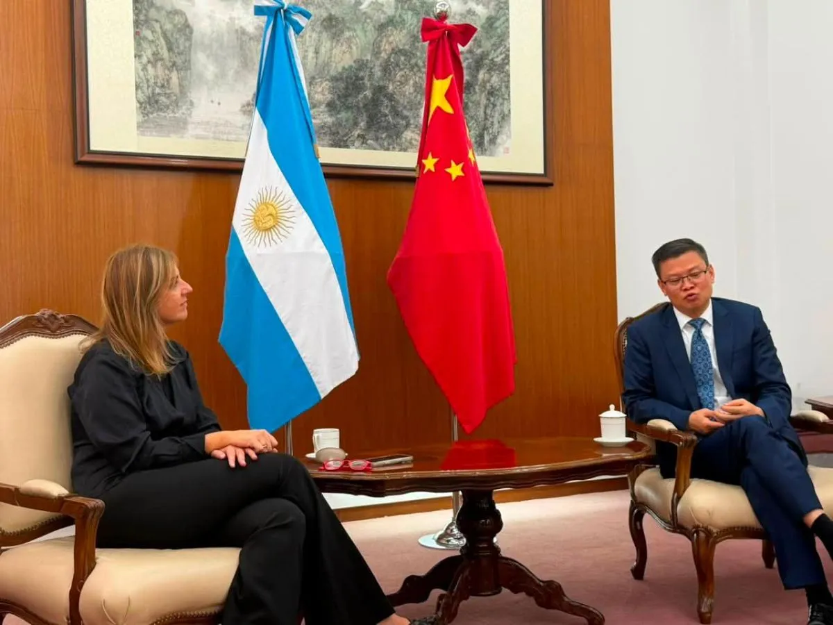 UNMDP se viste de rosca con China: ¿Qué ganamos?