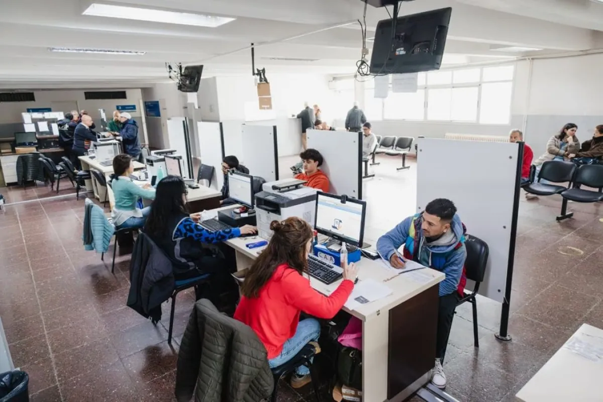 Más de 28 mil licencias: ¿manejar o tramitar?